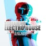 Screaming Electro House Vol. 1 cover