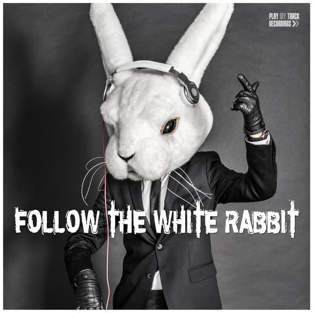 Cover Image of release - Follow the White Rabbit