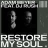 Restore My Soul (feat. DJ Rush) cover