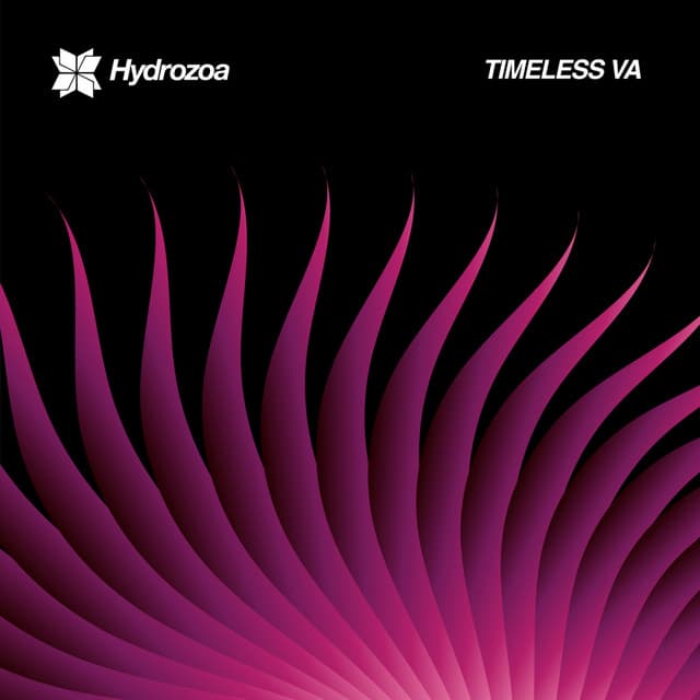 Cover Image of release - Timeless