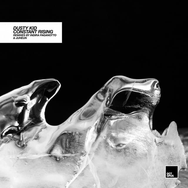 Cover Image of release - Constant Rising