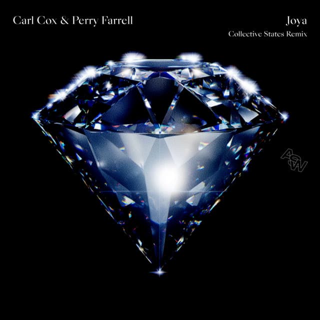 Cover Image of release - Joya (Collective States Remix)