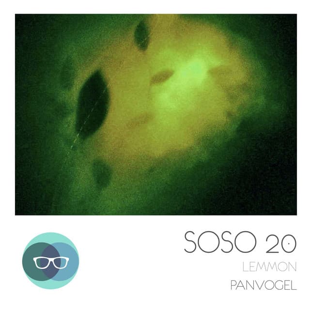 Cover Image of release - Panvogel