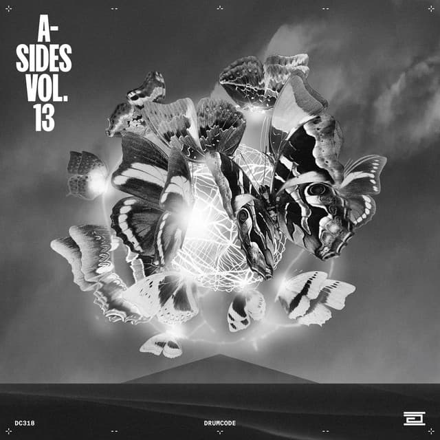 Cover Image of release - A-Sides Vol. 13