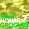 Roadhouse Grooves 7 cover