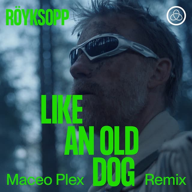 Cover Image of release - Like An Old Dog (Maceo Plex Remix)