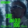 Like An Old Dog (Maceo Plex Remix) cover