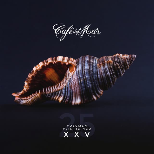 Cover Image of release - Café del Mar XXV (Vol. 25)