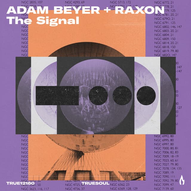 Cover Image of release - The Signal