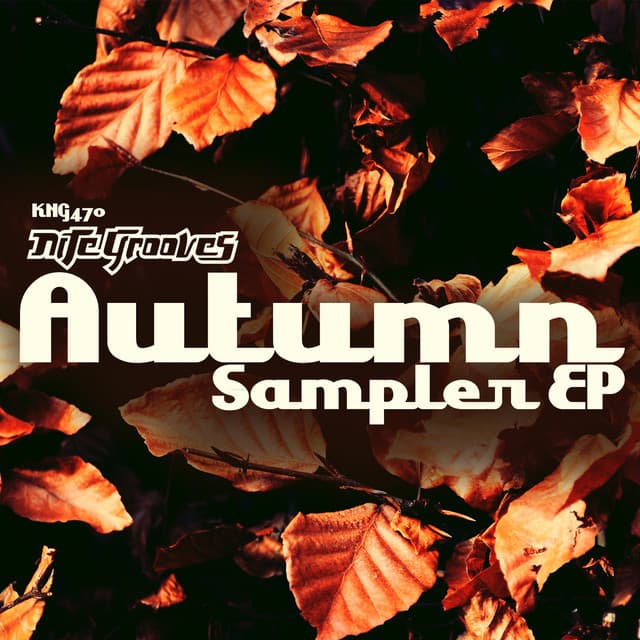 Cover Image of release - Nite Grooves Autumn Sampler EP
