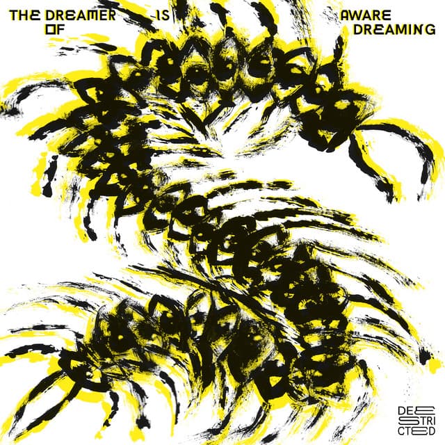 Cover Image of release - The Dreamer Is Aware Of Dreaming