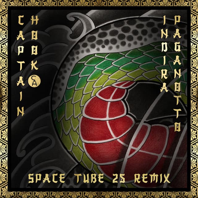 Cover Image of release - Space Tube 25 (Indira Paganotto Remix)