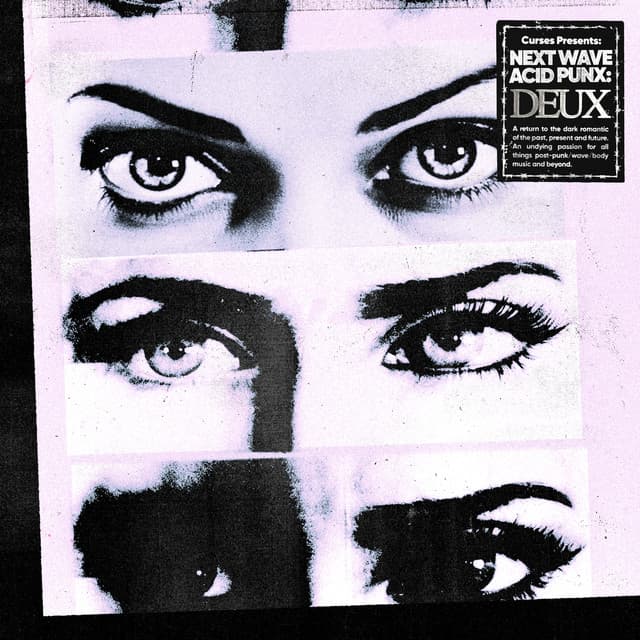 Cover Image of release - Next Wave Acid Punx DEUX