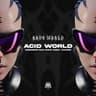 Acid World cover