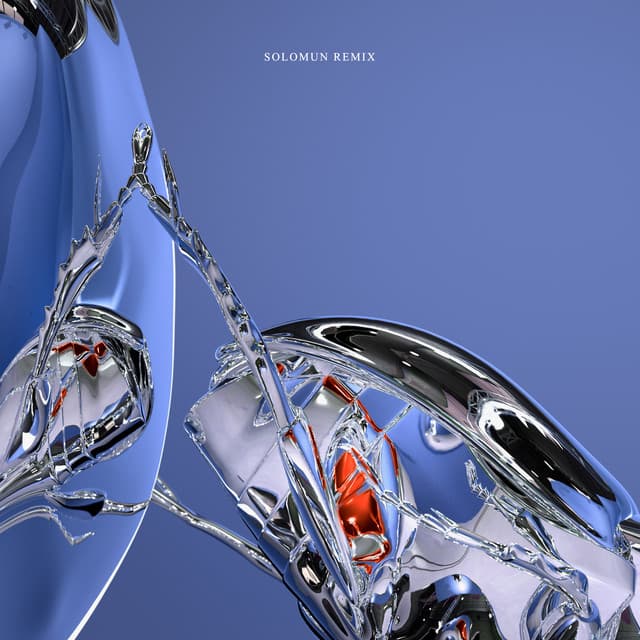 Cover Image of release - Touch (Solomun Remix)