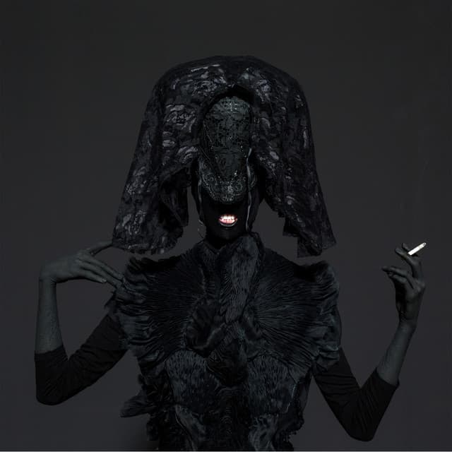 Cover Image of release - Nigredo Edition