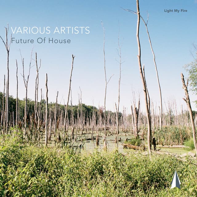 Cover Image of release - Future of House