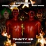 Trinity cover