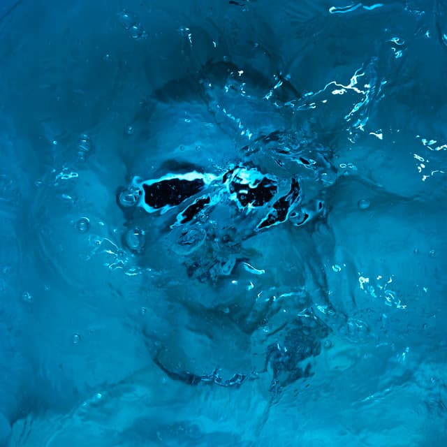 Cover Image of release - Die Tonight