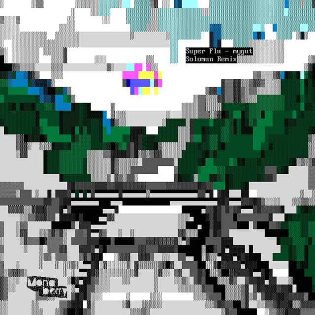 Cover Image of release - mygut (Solomun Remix)