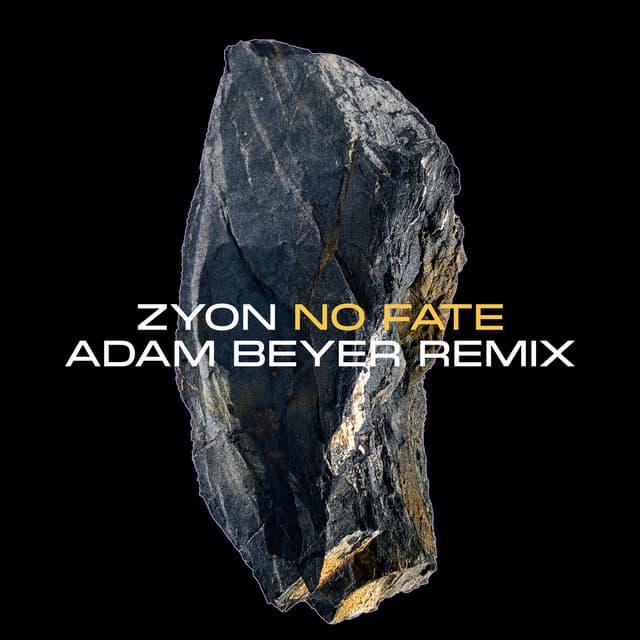 Cover Image of release - No Fate (Adam Beyer Remix)