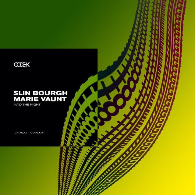 Cover Image of release - Into the Night