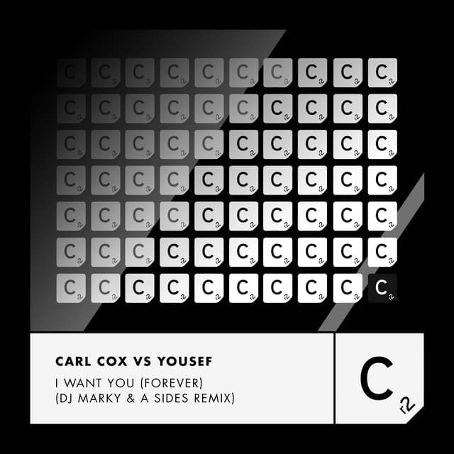 Cover Image of release - I Want You (Forever) [DJ Marky & a Sides Remix]