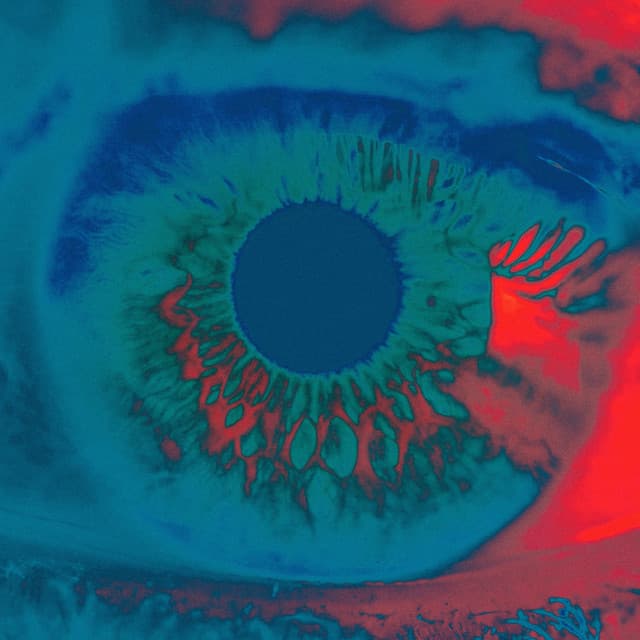 Cover Image of release - Shadow (Remixes)