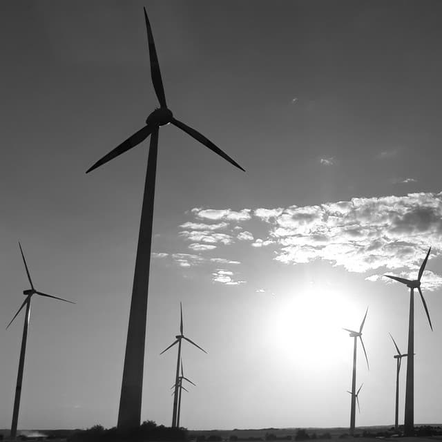 Cover Image of release - 1