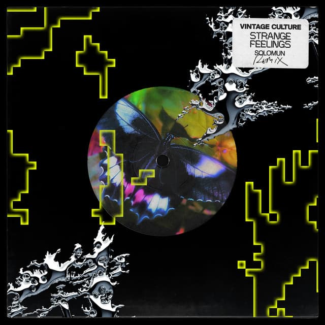 Cover Image of release - Strange Feelings (Solomun Remix)
