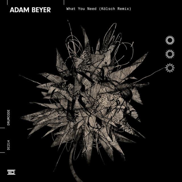 Cover Image of release - What You Need (Kölsch Remix)