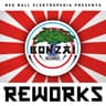 Red Bull Elektropedia presents Bonzai Reworks cover