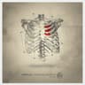 Confined Heart cover