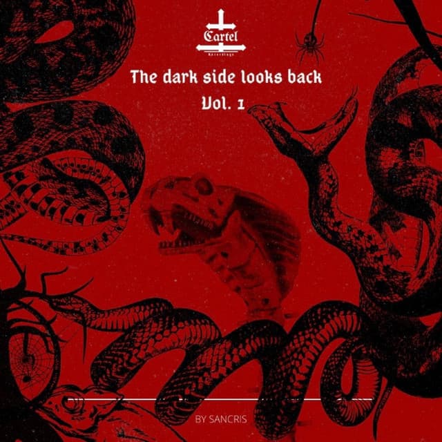 Cover Image of release - THE DARK SIDE LOOKS BACK - Vol. 1