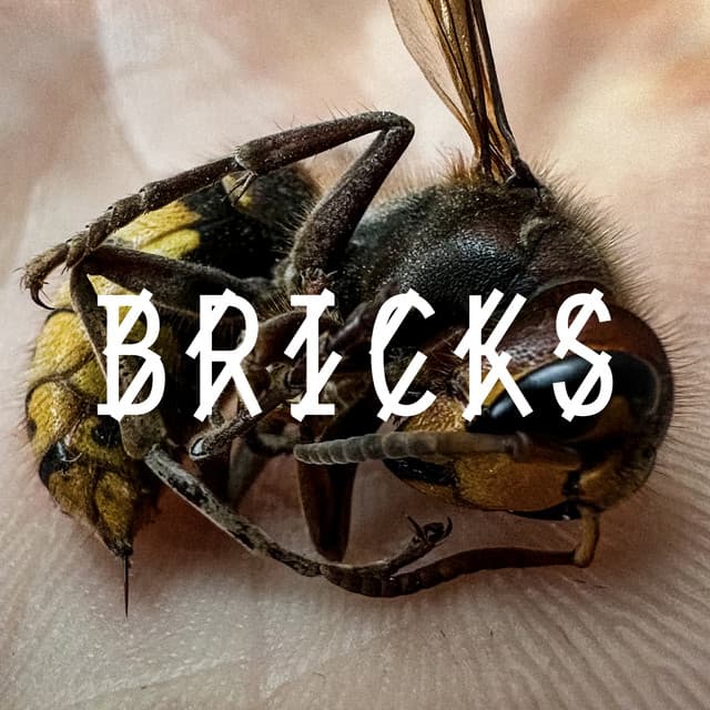 Cover Image of release - Bricks