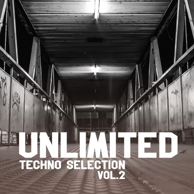 Cover Image of release - Unlimited Techno Selection, Vol. 2