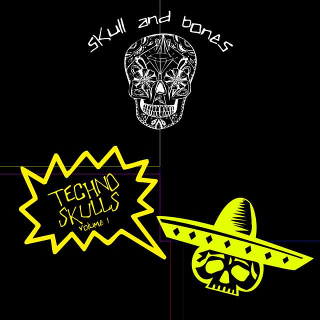 Cover Image of release - Techno Skulls, Vol. 1
