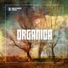 Organica #26 cover
