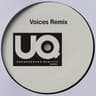 Voices (Remixes) cover