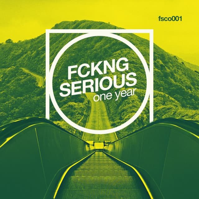 Cover Image of release - Fckng Serious One Year