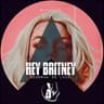 Hey Britney cover