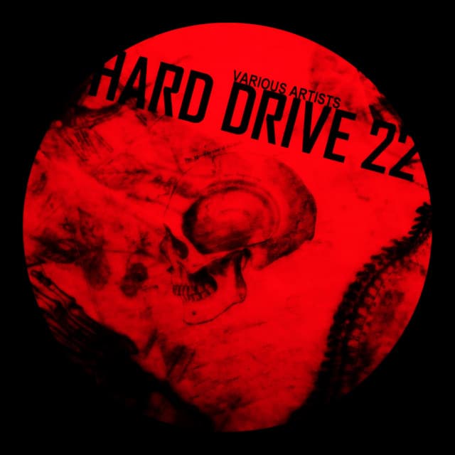 Cover Image of release - Hard Drive 22