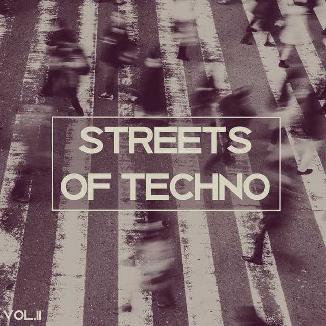Cover Image of release - Streets of Techno, Vol. 2