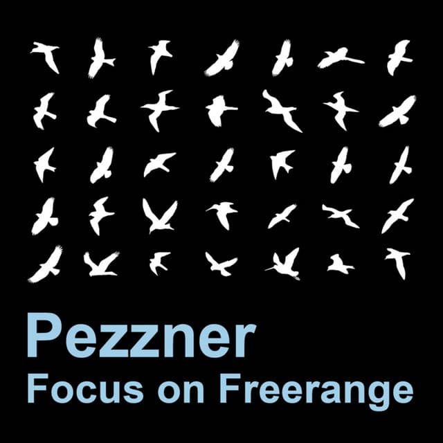 Cover Image of release - Pezzner: Focus On Freerange