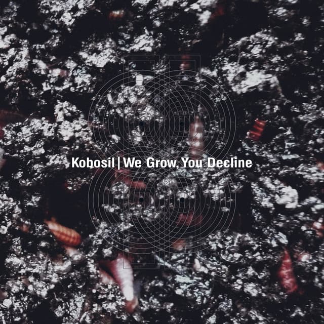 Cover Image of release - We Grow, You Decline