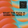 What The Fuck Is Going On Here?! cover
