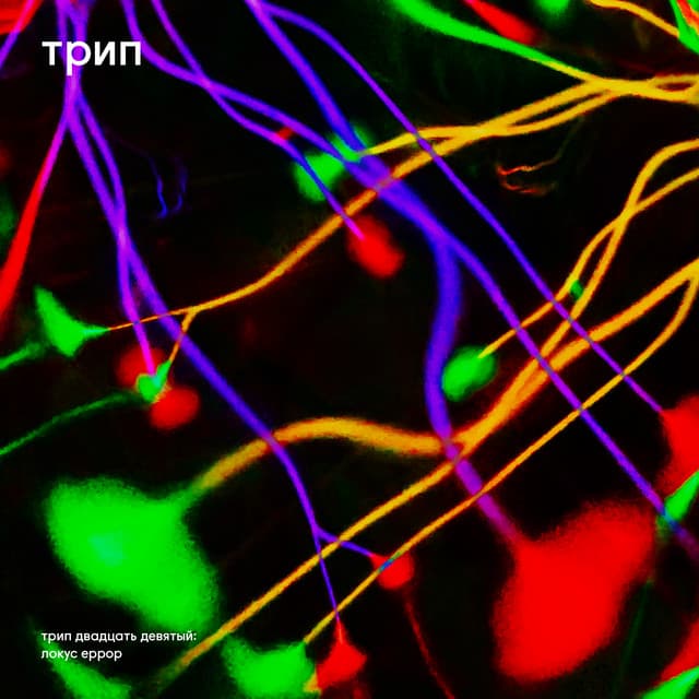 Cover Image of release - Locus Error