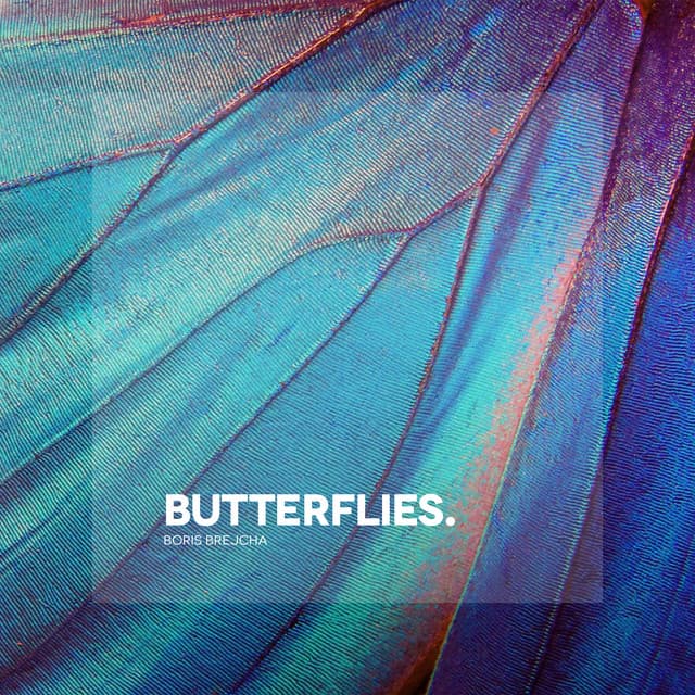 Cover Image of release - Butterflies