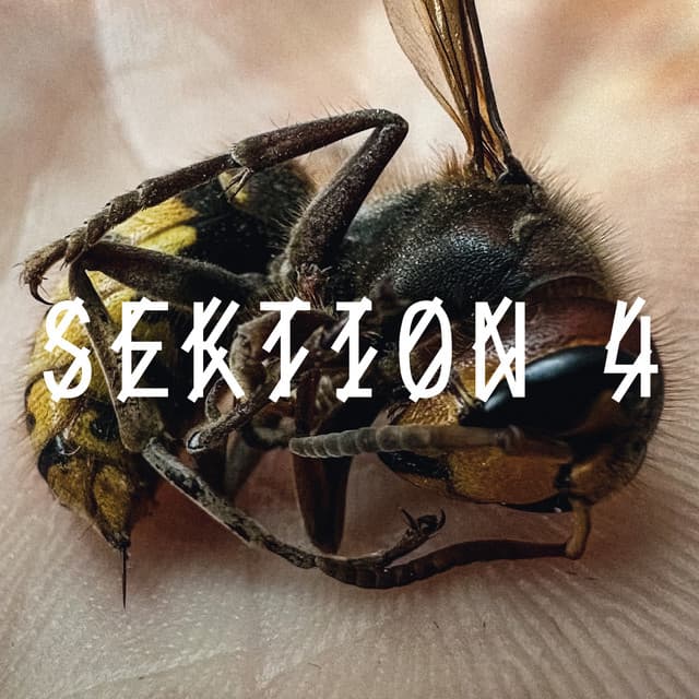 Cover Image of release - SEKTION 4
