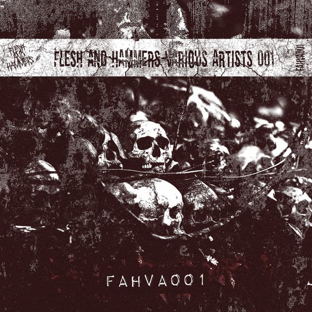 Cover Image of release - FAHVA001